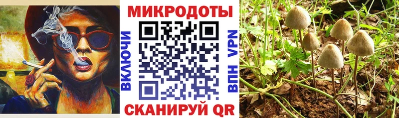 Галлюциногенные грибы мицелий  Ивдель 